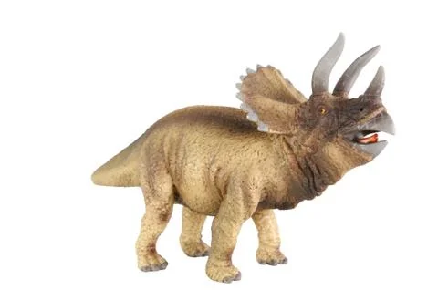 Triceratops Stock Photos
