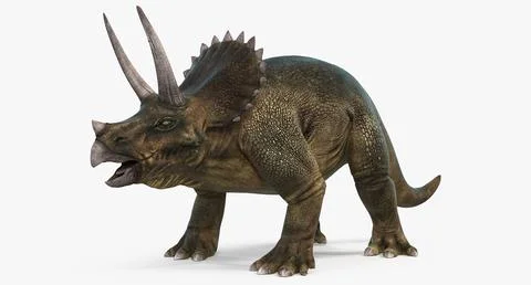 Triceratops Rigged for Cinema 4D ~ 3D Model #91608546