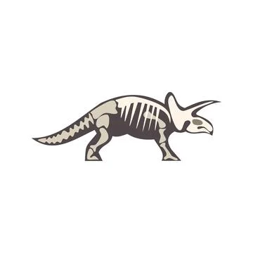 Triceratops skeleton walking side view, paleontology and prehistoric life Stock Illustration