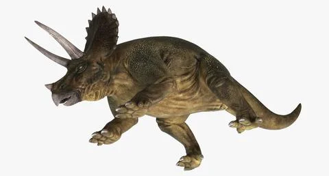 Triceratops Walking Pose 3D Model ~ 3D Model #90948008