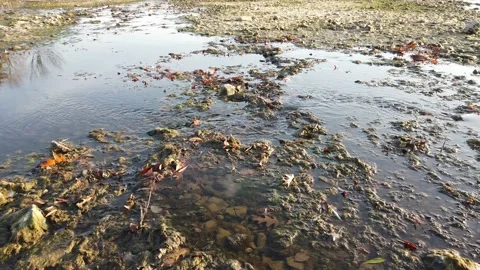 Trickle of water flowing over the bare River bed Stock Footage 143196408