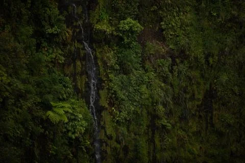 Trickle Waterfall Stock Photos