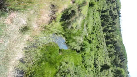 Trickling Creek Stock Footage 150987285
