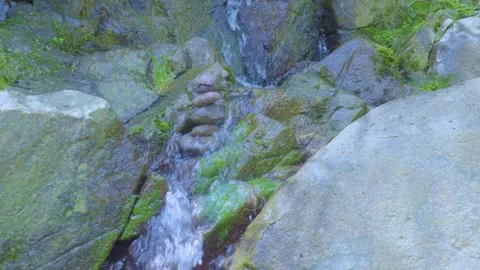Trickling Stream Winding Through Mossy Rocks Stock Footage 283717243
