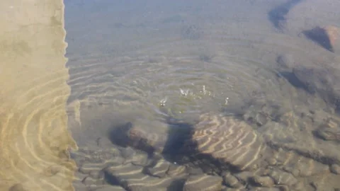 Trickling Water Video stock 170169572