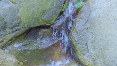 Trickling Water Through Moss-Covered Rocks Stock Footage 283705476