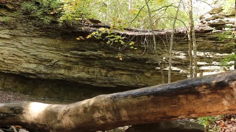 Trickling Waterfall Beyond Downed Tree Stock Footage 75035943