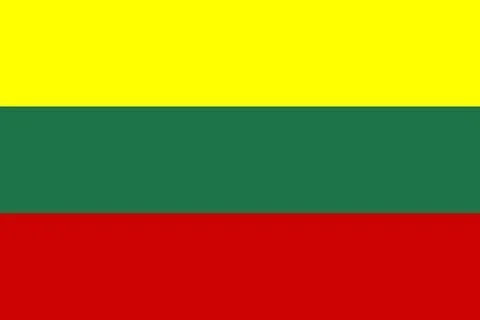Tricolor flag is being shown in flat vector design, with yellow green red 库存插图