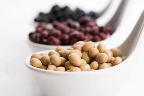 Tricolor soybeans Stock Photos