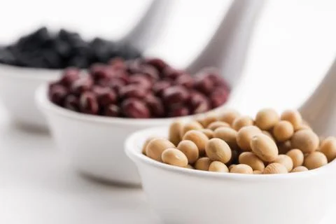 Tricolor soybeans Stock Photos