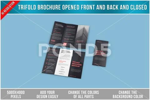 Trifold Brochure Mockup All Views PSD Template