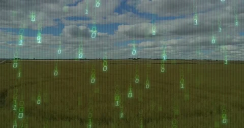 Triggered by binary streams emerging in sky, cascading digits overlaying field Stock Footage 317741220