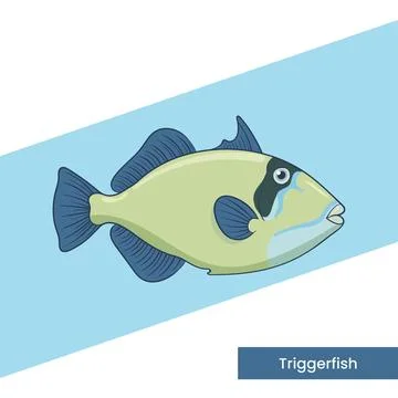 Triggerfish Tropical Sea Creature Vector Illustration Isolated Stock Illustration