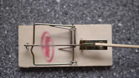 Triggering Spring Bar Mousetrap Slow Motion 스톡 동영상 146222125