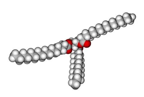 Triglyceride molecular structure Illustrazione stock