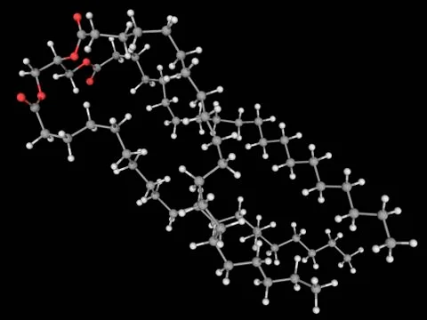Triglyceride molecule Stock Illustration