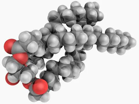 Triglyceride molecule Stock Illustration