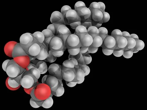 Triglyceride molecule Stock Illustration