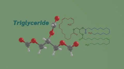 Triglyceride science molecule 3D render illustration Stock Illustration