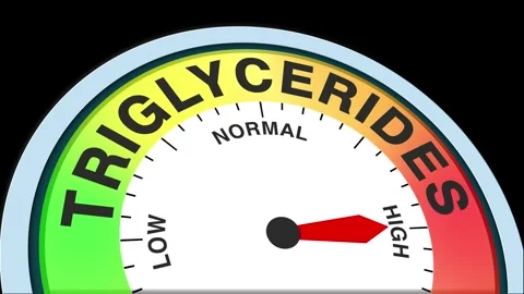 Triglycerides Level Text or Word  Low and Medium to High Meter Concept Stock Footage 288577694