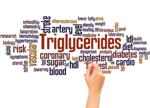 Triglycerides word cloud hand writing concept Stock Illustration