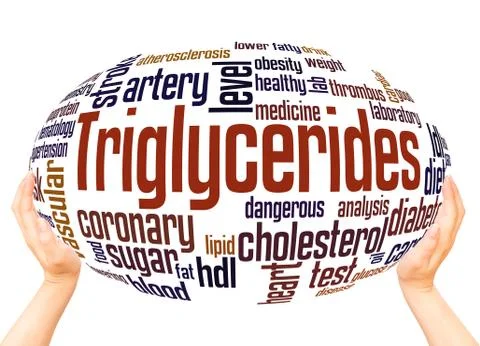 Triglycerides word cloud sphere concept Stock Illustration