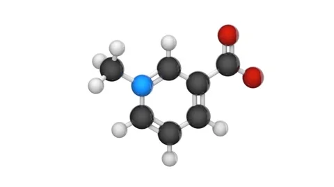 Trigonelline. C7H7NO2. Seamless loop. White background Stock Footage 154418346
