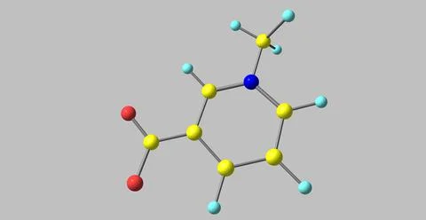 Trigonelline molecular structure isolated on grey Stock Illustration