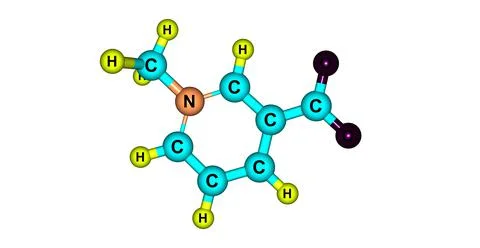 Trigonelline molecular structure isolated on white Stock Illustration