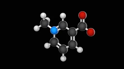 Trigonelline. Seamless loop. Black background Video stock 154418347