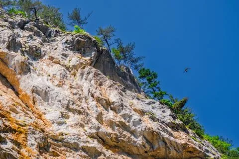 Trigrad gorge canyon of vertical marble rocks in rhodope mountains Stock-Fotos