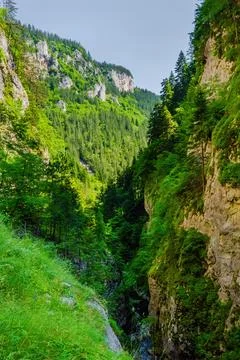 Trigrad gorge canyon of vertical marble rocks in rhodope mountains Stock Photos
