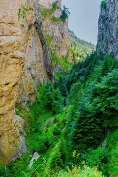 Trigrad gorge canyon of vertical marble rocks in rhodope mountains Stock-Fotos