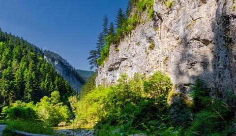 Trigrad gorge canyon of vertical marble rocks in rhodope mountains Foto stock