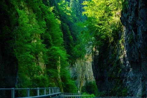 Trigrad gorge canyon of vertical marble rocks in rhodope mountains Stock Photos