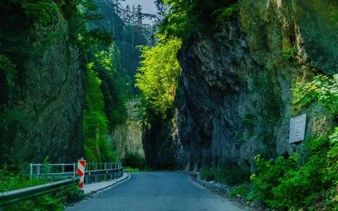 Trigrad gorge canyon of vertical marble rocks in rhodope mountains Stock Photos