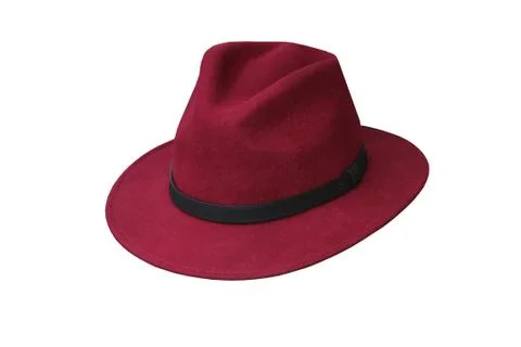 Trilby Hat. Stock Photos