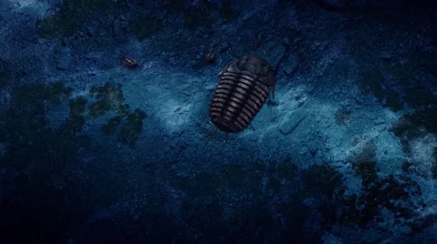 Trilobita，3DMAX Video stock 53835287