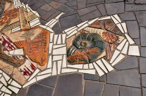 Trilobite Stock Photos