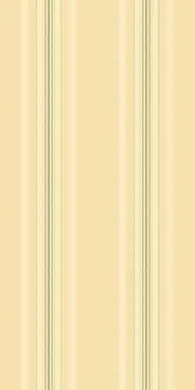 Trim background vector lines, ornament vertical textile pattern. Perfection.. Stockillustratie