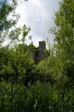 Trim Castle Foto stock