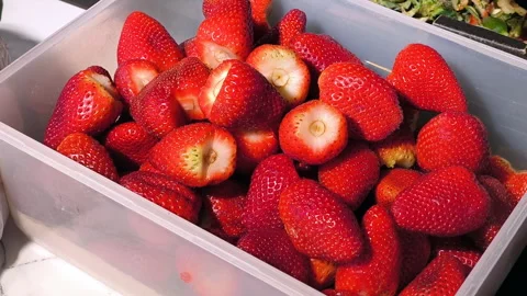 Trim strawberries for cooking. Stock Footage 318355255