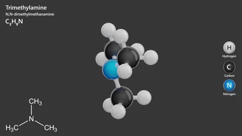 Trimethylamine. 3D model of a molecule. C3H9N. Gray background. 3D render Stock Footage 293568934