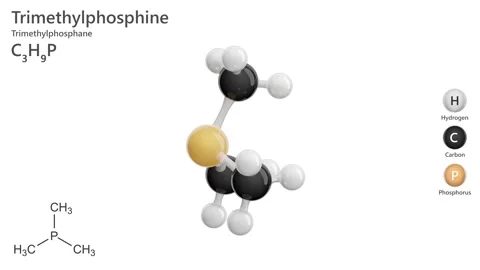 Trimethylphosphine. 3D model of a molecule. C3H9P. White background. 3D render Stock Footage 295930507
