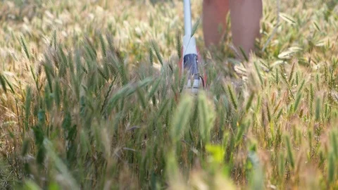 Trimmer cutting grass on the sunset. Slow motion. Stock Footage 109300972