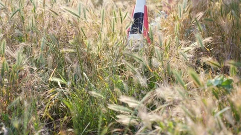 Trimmer cutting grass on the sunset. Slow motion. Stock Footage 109301266