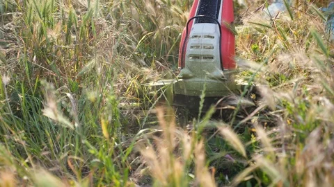 Trimmer cutting grass on the sunset. Slow motion. Stock Footage 109301298