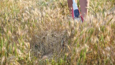 Trimmer cutting grass on the sunset. Slow motion. Stock Footage 109301332