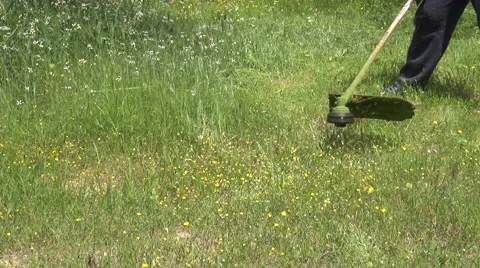 Trimmer for Grasses Stockbeeldmateriaal 62766828