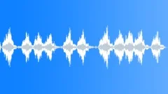 TRIMMER, HEDGE Sound Effect